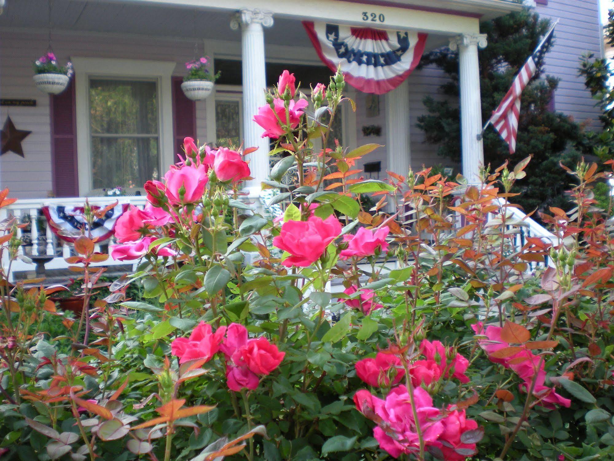 Belle Hearth Bed And Breakfast Waynesboro Luaran gambar